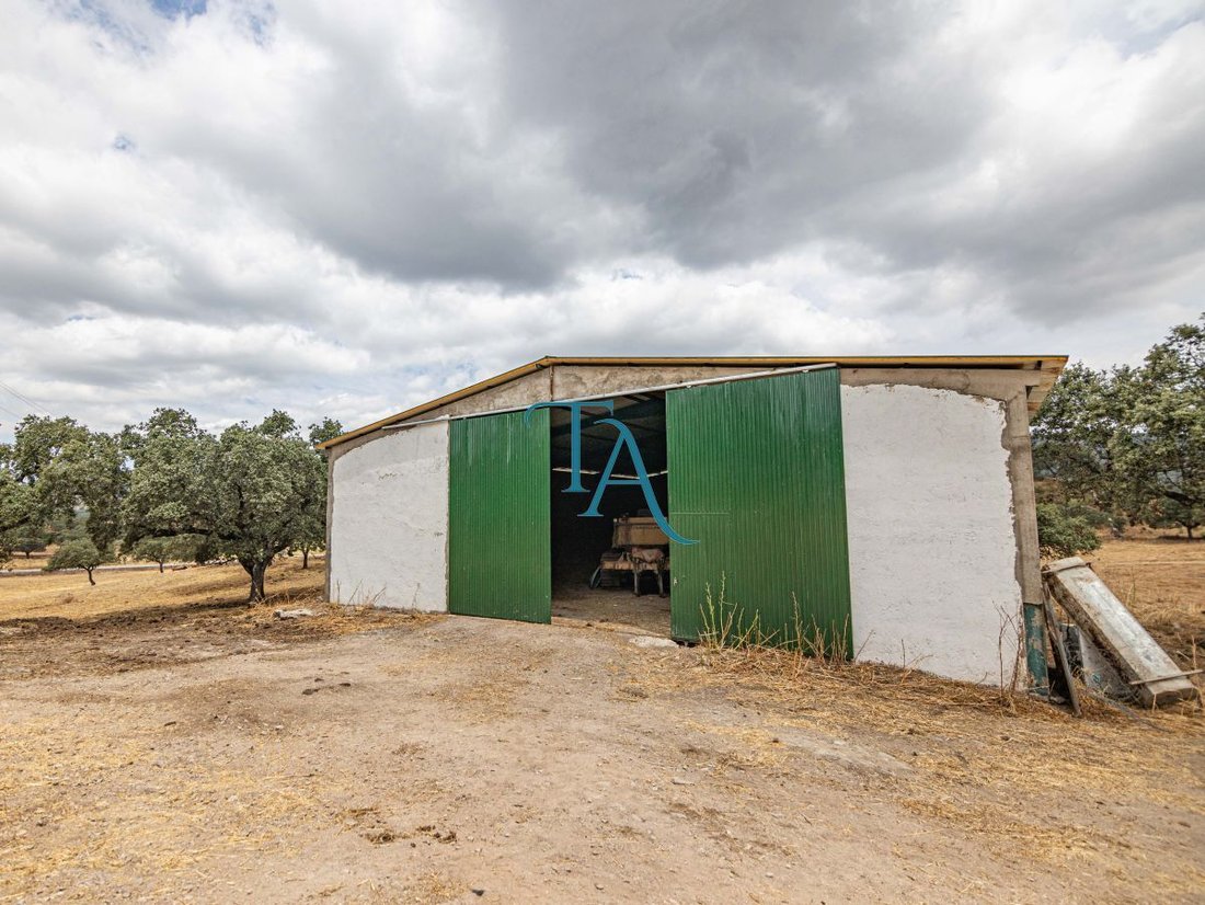 Finca in Canaveral de Leon, Andalusia, Spain 4 - 15246522