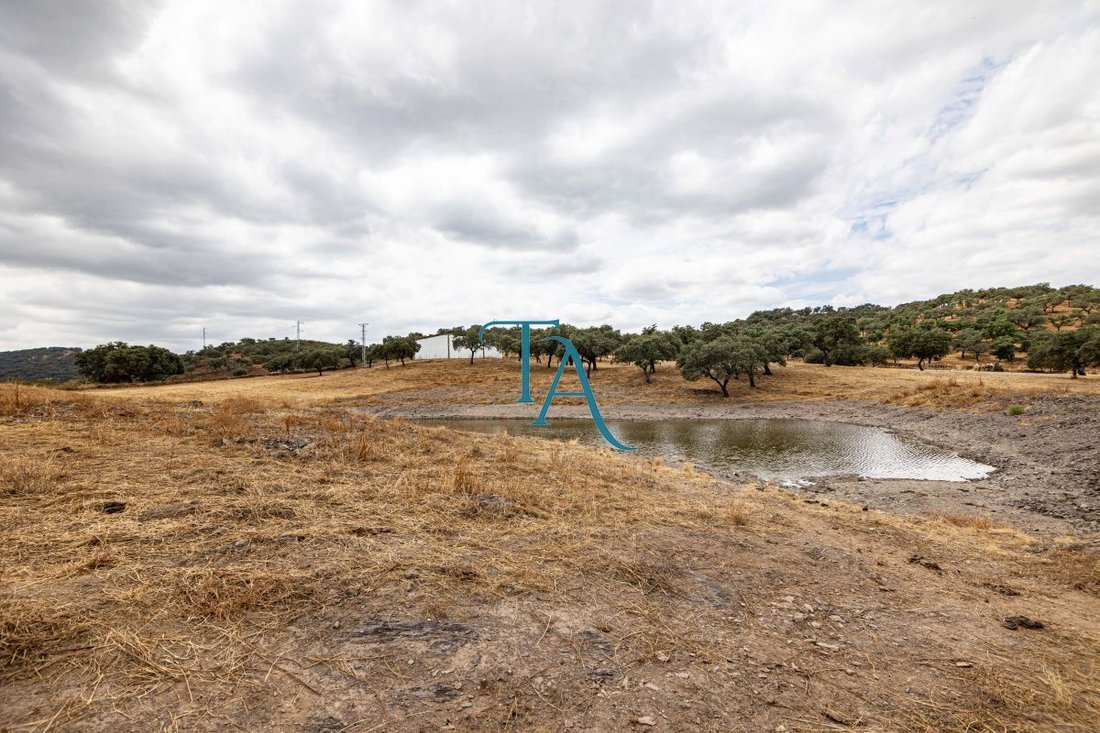 Finca in Canaveral de Leon, Andalusia, Spain 2 - 15246522