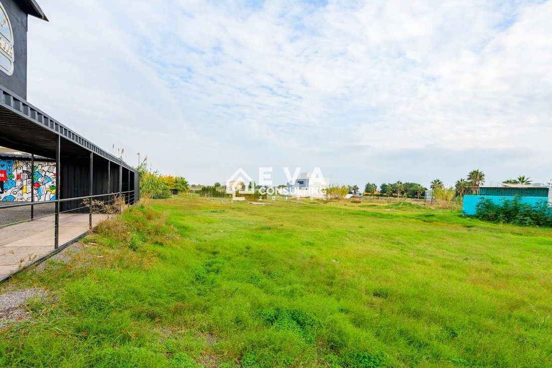 Land in Almenara, Valencian Community, Spain 5 - 15248200