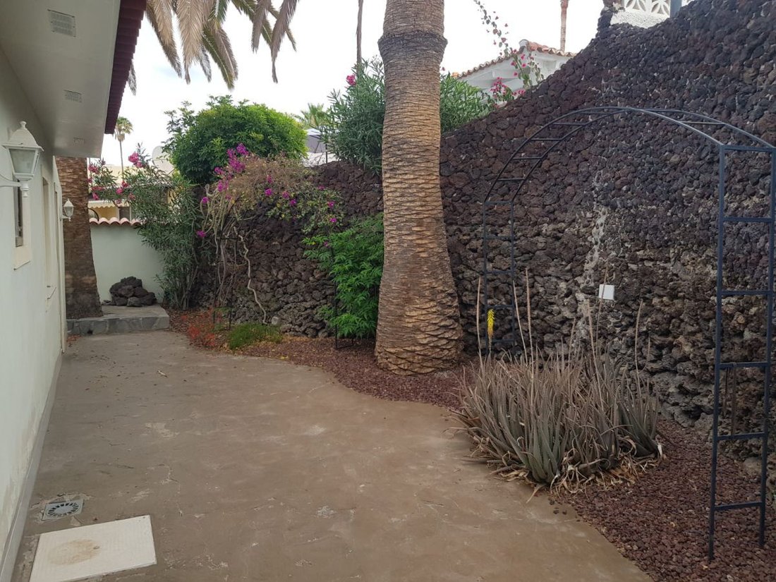 Apartment in Costa Adeje, Adeje, Canary Islands 2 - 15248110