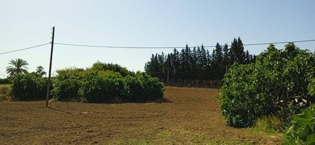 Farm Ranch in Jerez De La Frontera, Andalusia, Spain 2 - 15248319