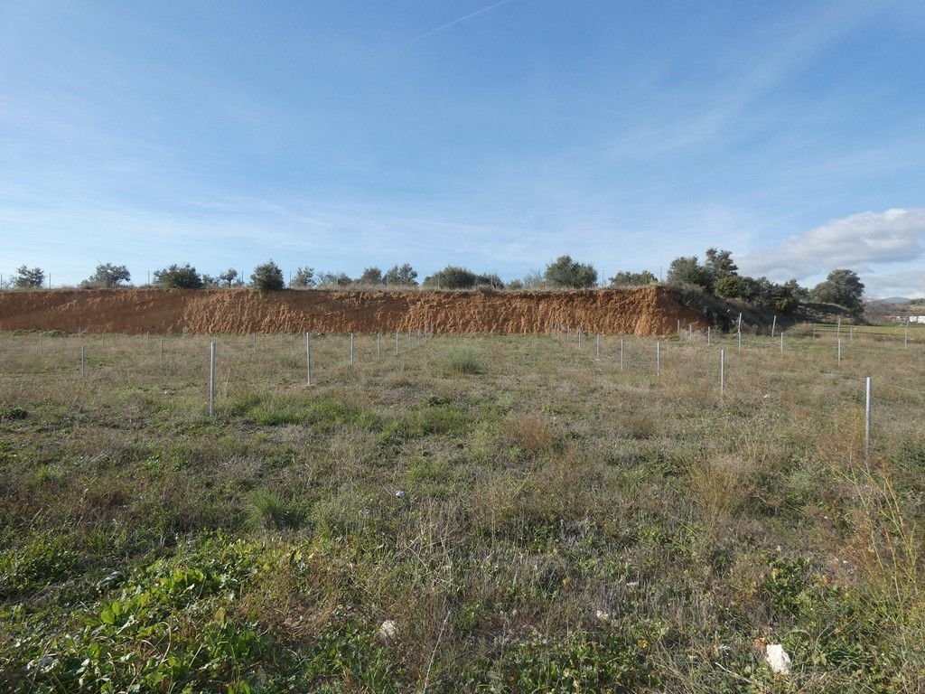 Land in Torrelaguna, Comunidad de Madrid, Spain 3 - 15247794