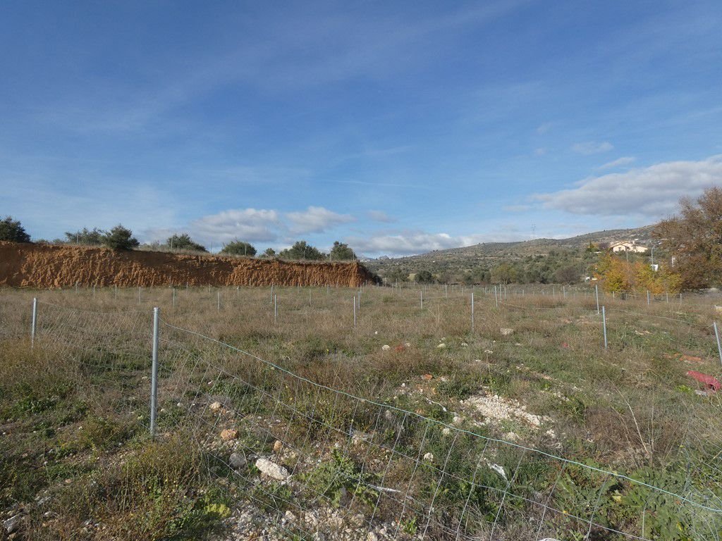 Land in Torrelaguna, Comunidad de Madrid, Spain 5 - 15247794