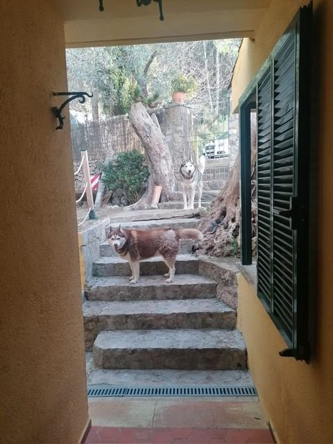 Chalet a Capdepera, Isole Baleari, Spagna 2 - 15247755