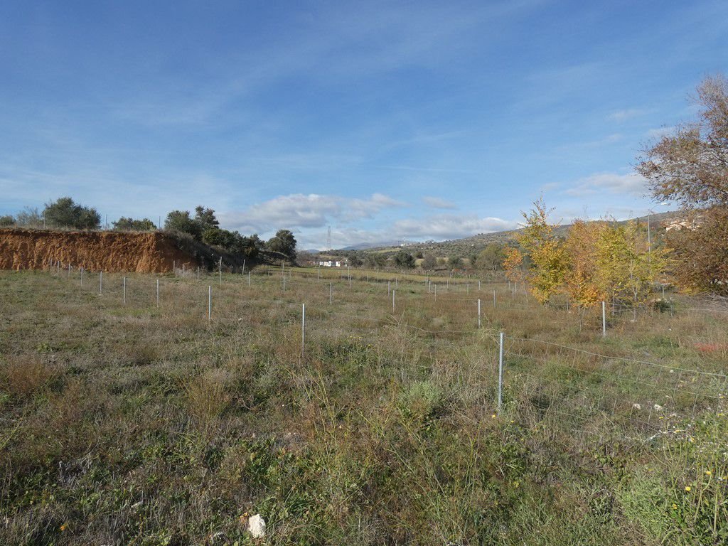 Land in Torrelaguna, Comunidad de Madrid, Spain 2 - 15247794