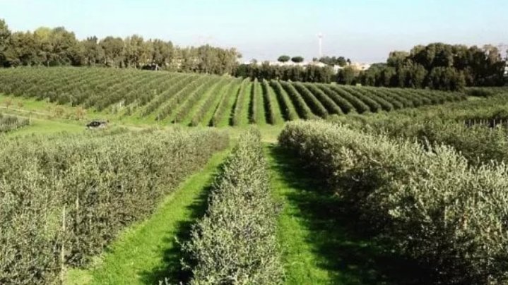 Villa in Lazise, Veneto, Italy 4 - 15249437