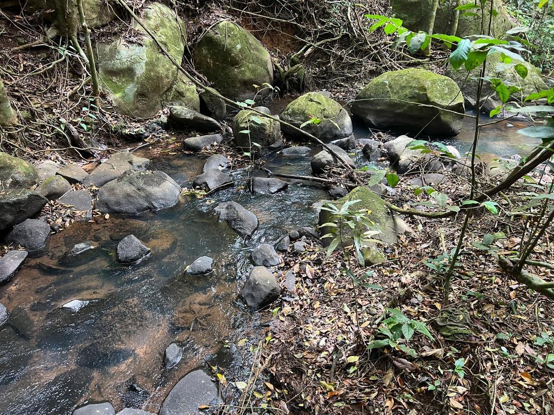 Land in San Ramon, Guanacaste Province, Costa Rica 3 - 14733872