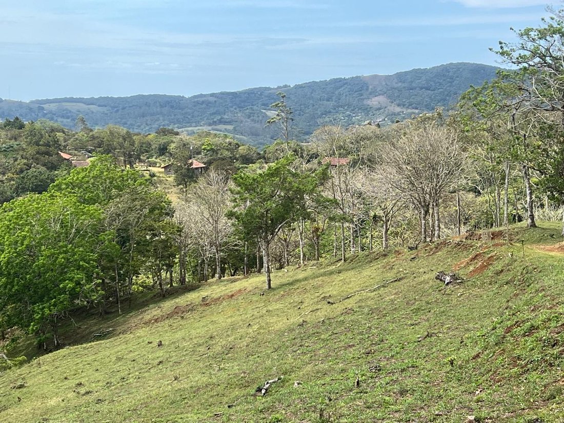 Land in San Ramon, Guanacaste Province, Costa Rica 2 - 14733872