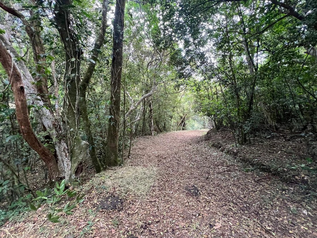 Land in San Ramon, Guanacaste Province, Costa Rica 4 - 14733872