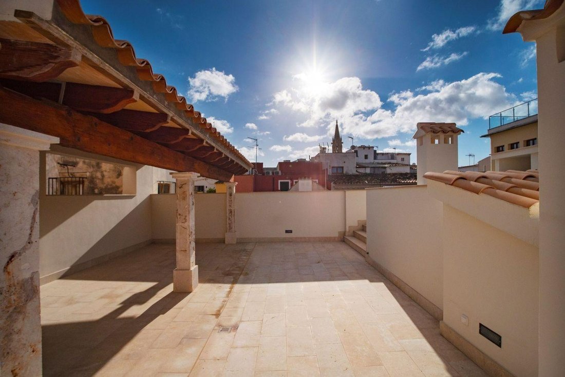 Apartment in Palma, Balearic Islands, Spain 1 - 15255107