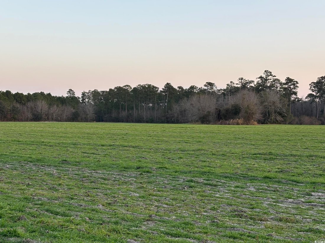 Land in Loris, South Carolina, United States 3 - 15252681