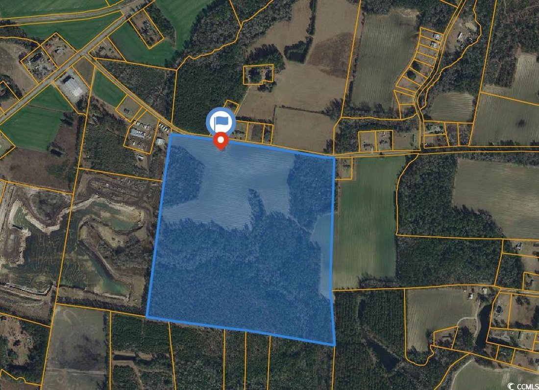 Land in Loris, South Carolina, United States 2 - 15252681