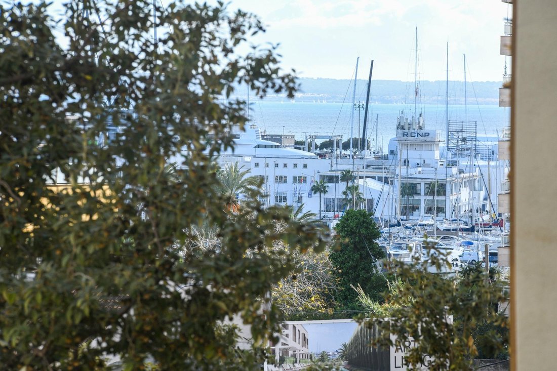 Apartment in Palma, Balearic Islands, Spain 1 - 15255204