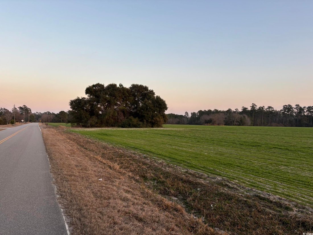 Land in Loris, South Carolina, United States 5 - 15252681