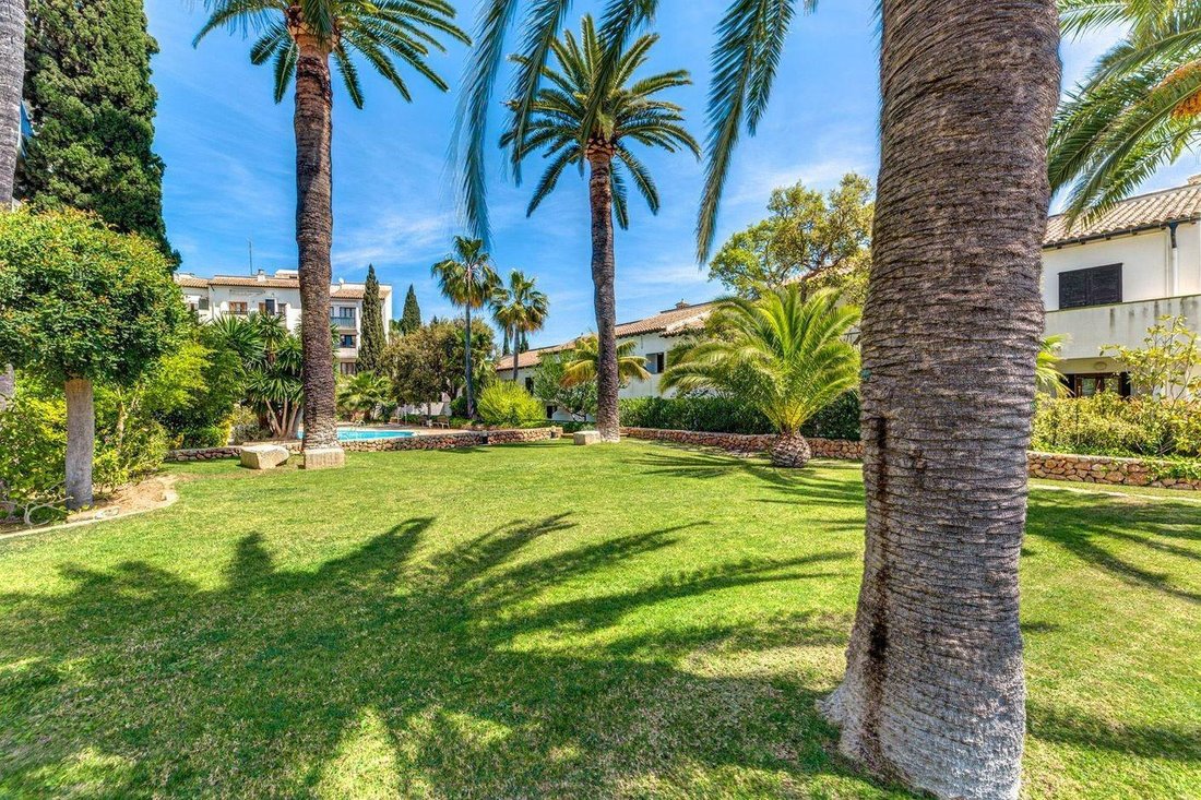 Apartment in Palma, Balearic Islands, Spain 3 - 15255163