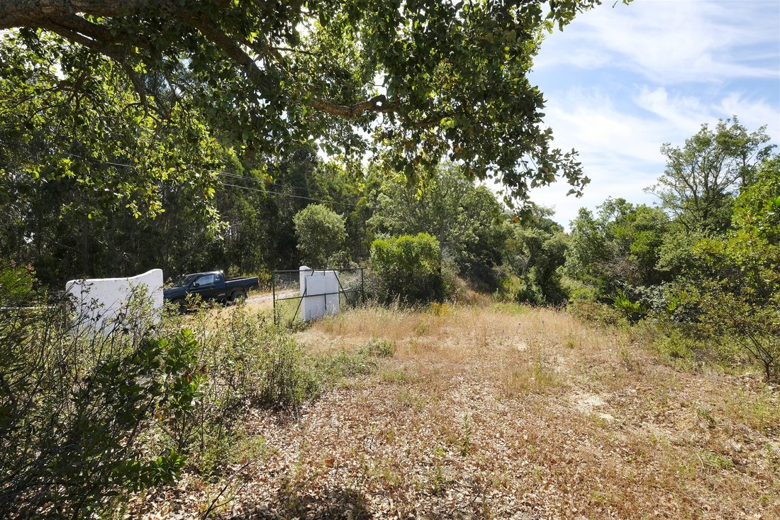 Farm Ranch in Sao Salvador e Santa Maria, Beja District, Portugal 4 - 13778857