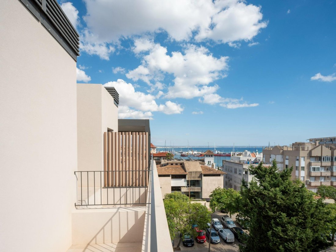 Apartment in Palma, Balearic Islands, Spain 1 - 15255237