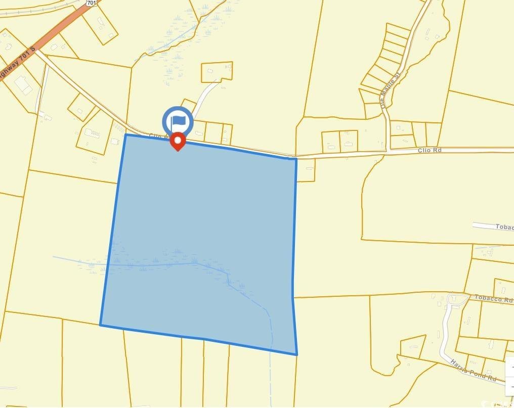 Land in Loris, South Carolina, United States 1 - 15252681