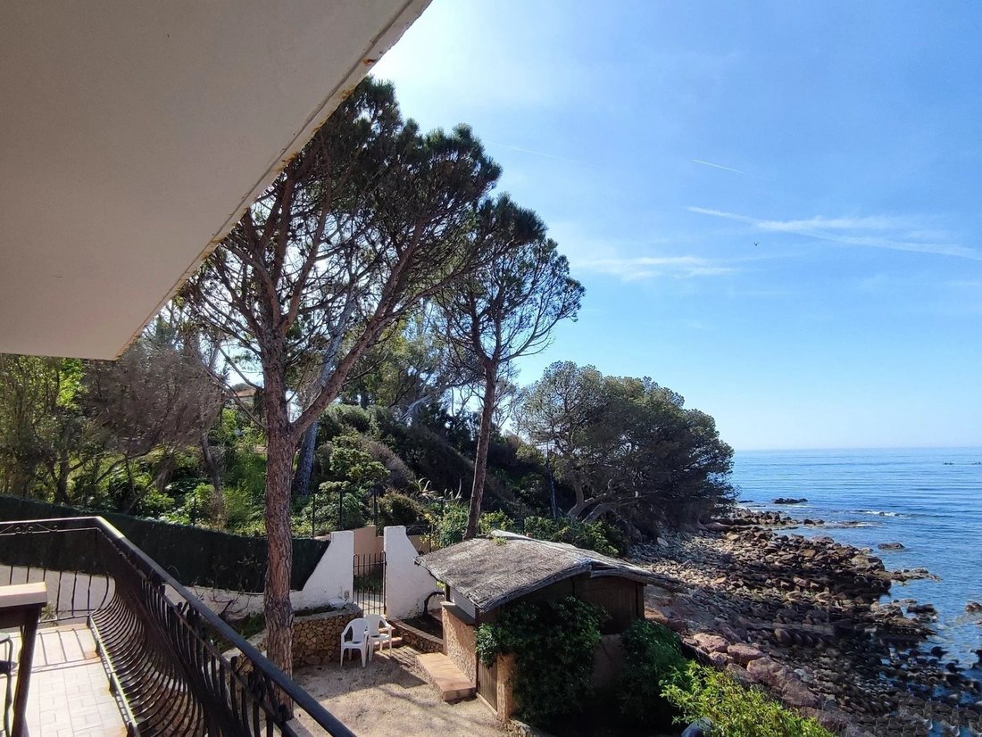 Villa in French Riviera, Provence-Alpes-Côte d'Azur, France 3 - 15250500