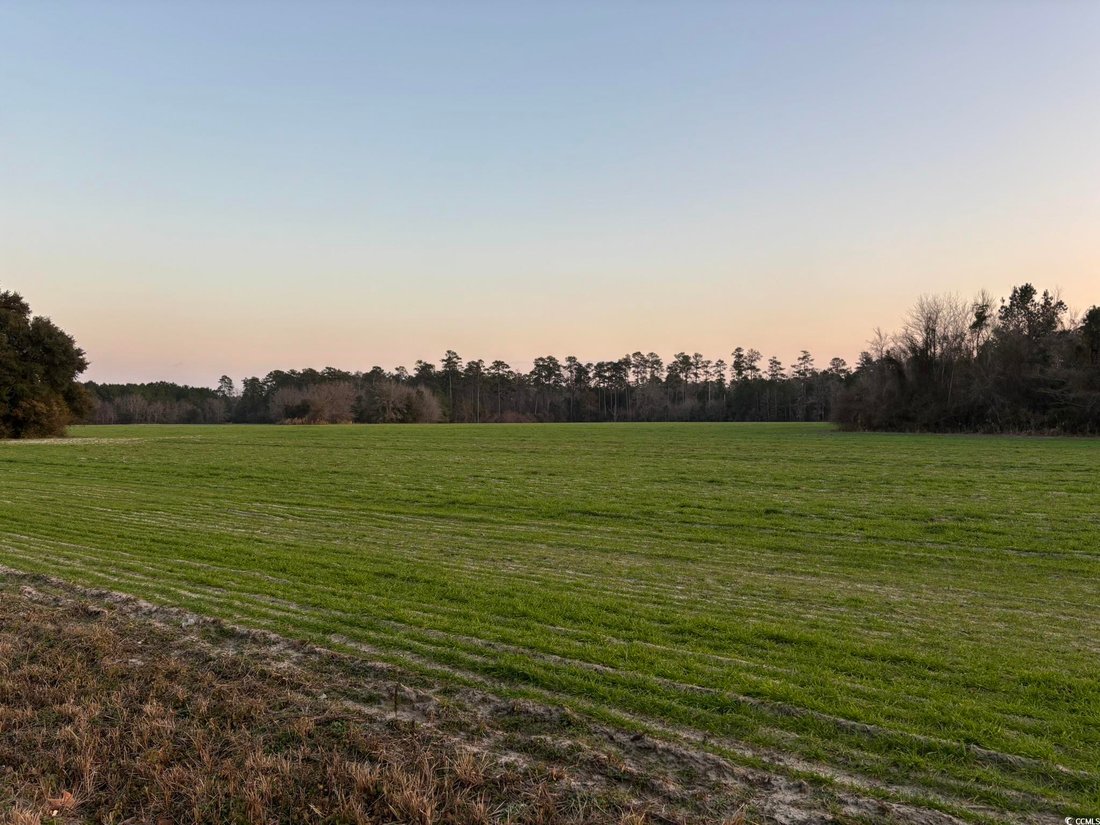 Land in Loris, South Carolina, United States 4 - 15252681
