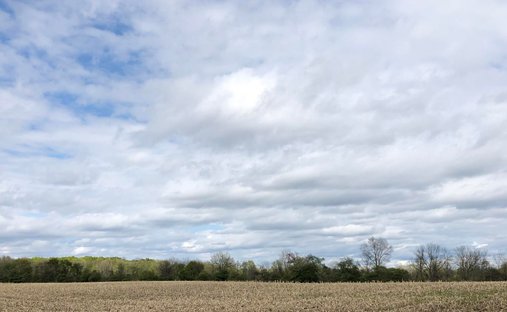 Land in Grand Ledge, Michigan, United States 1