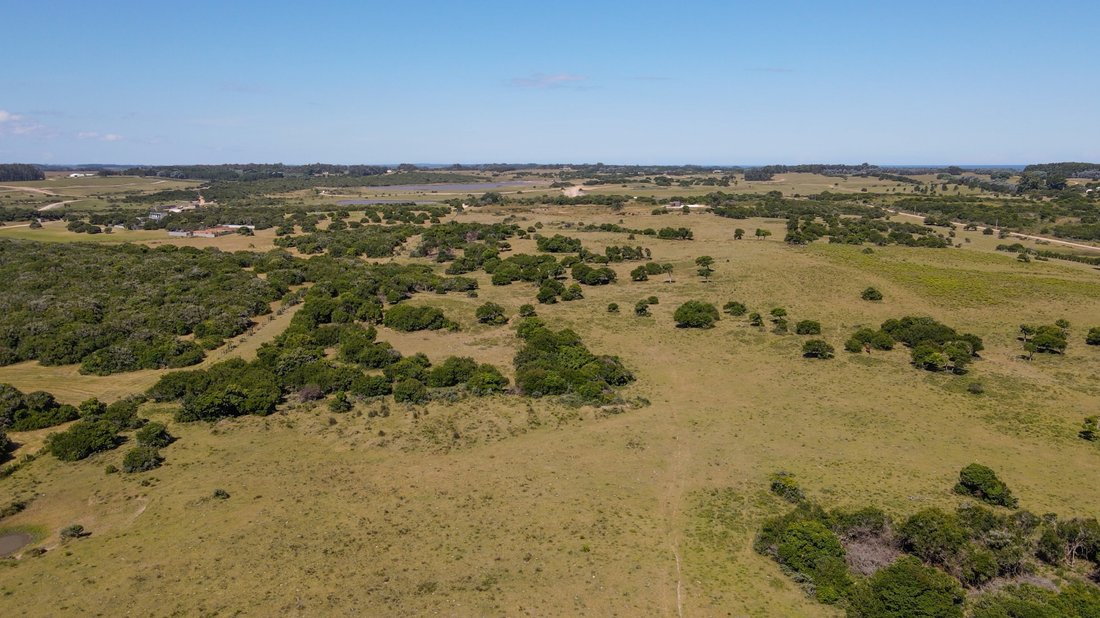 Land in Chacras de Medellin Sur Lac, Maldonado Department, Uruguay 4 - 15255253