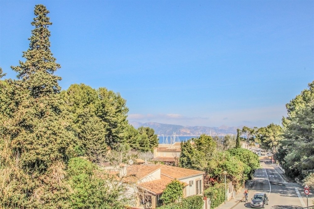 Villa in Alcudia, Balearic Islands, Spain 1 - 15255044