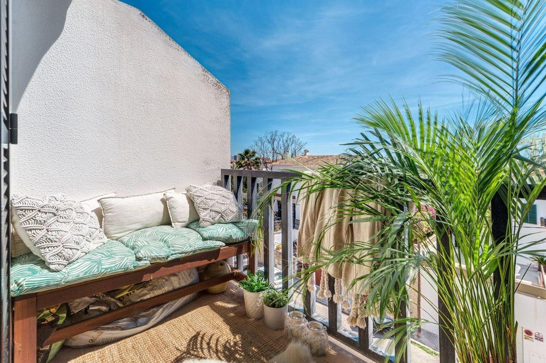 Apartment in Palma, Balearic Islands, Spain 1 - 15255163