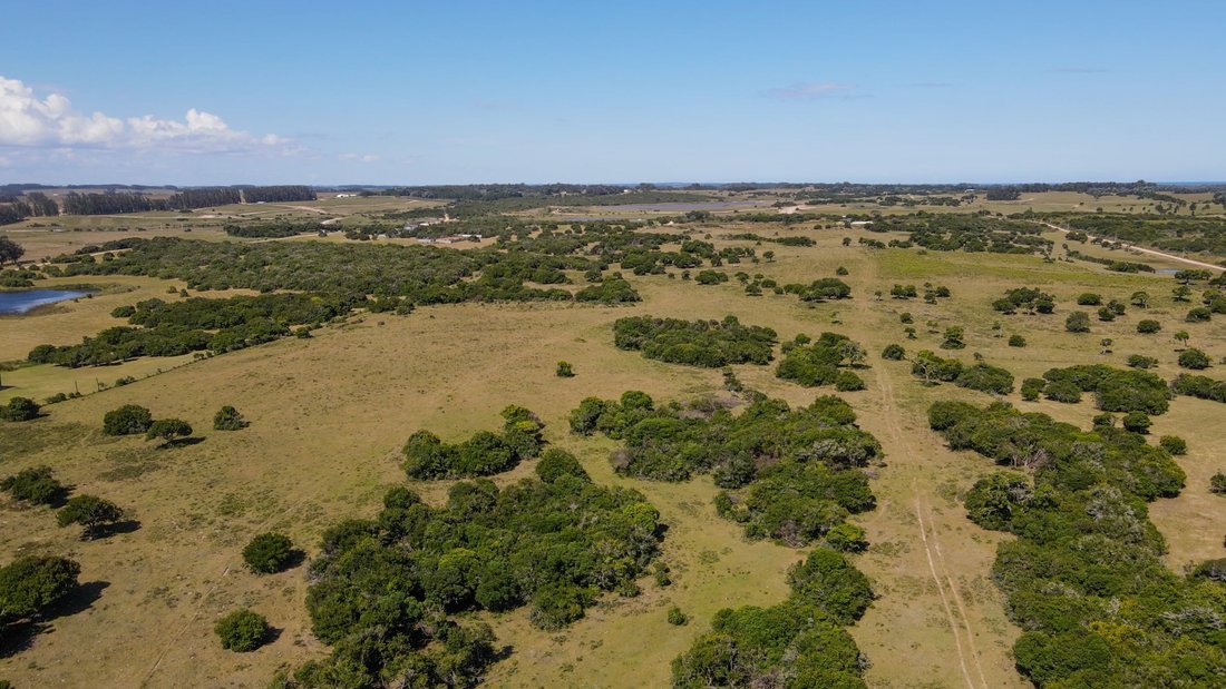 Land in Chacras de Medellin Sur Lac, Maldonado Department, Uruguay 4 - 15255264