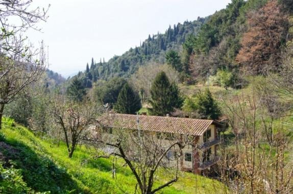 Country House in Molina di Quosa-rigoli, San Giuliano Terme, Tuscany 1 - 15251513