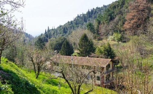 Country House in Molina di Quosa-rigoli, San Giuliano Terme, Tuscany 1