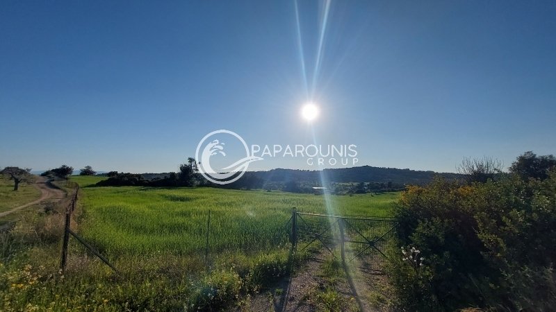 Land in Koinotita Kranidiou, Kranidi, Greece 2 - 15250776