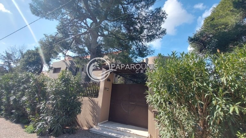 House in Ekali, Attica, Greece 1 - 15250833