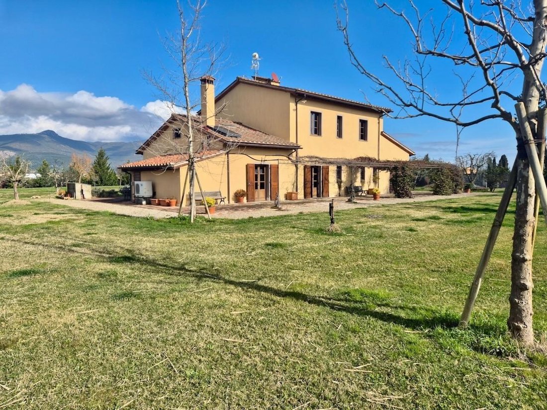 San Frediano a Settimo, Cascina, Tuscany 2 - 15251523