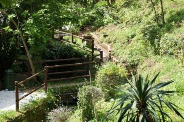 Country House in Molina di Quosa-rigoli, San Giuliano Terme, Tuscany 3 - 15251513