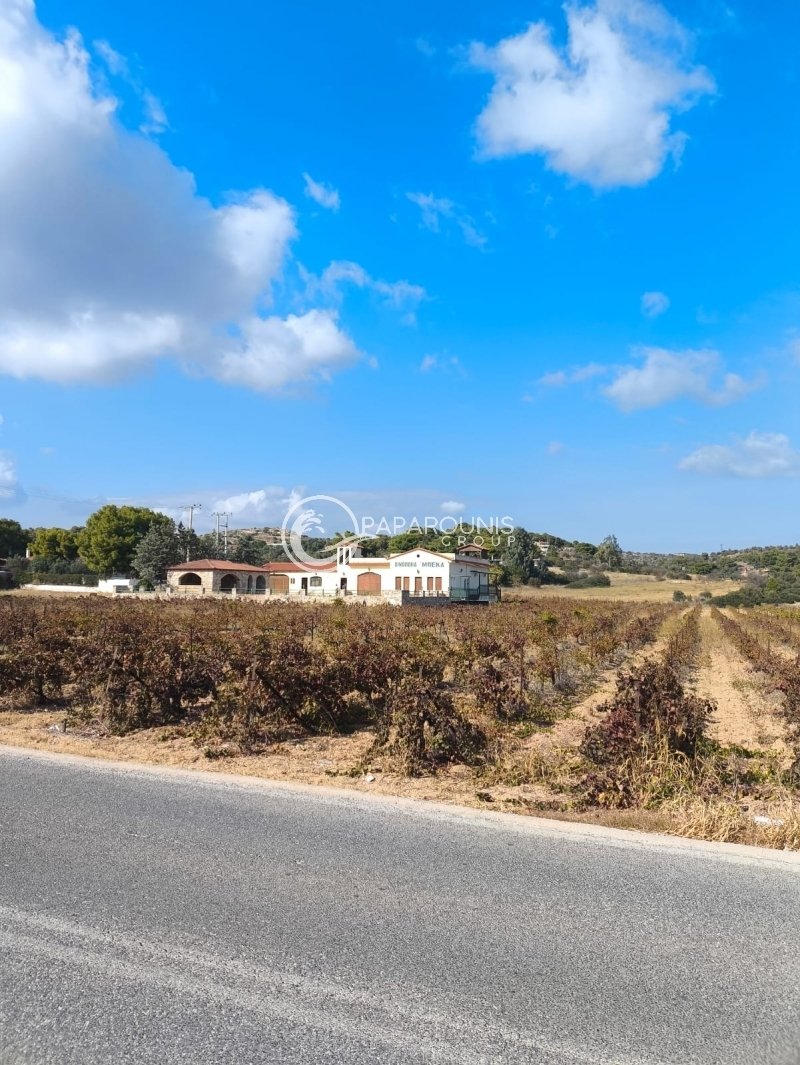 Spata-Loutsa, Attica, Greece 2 - 15250839