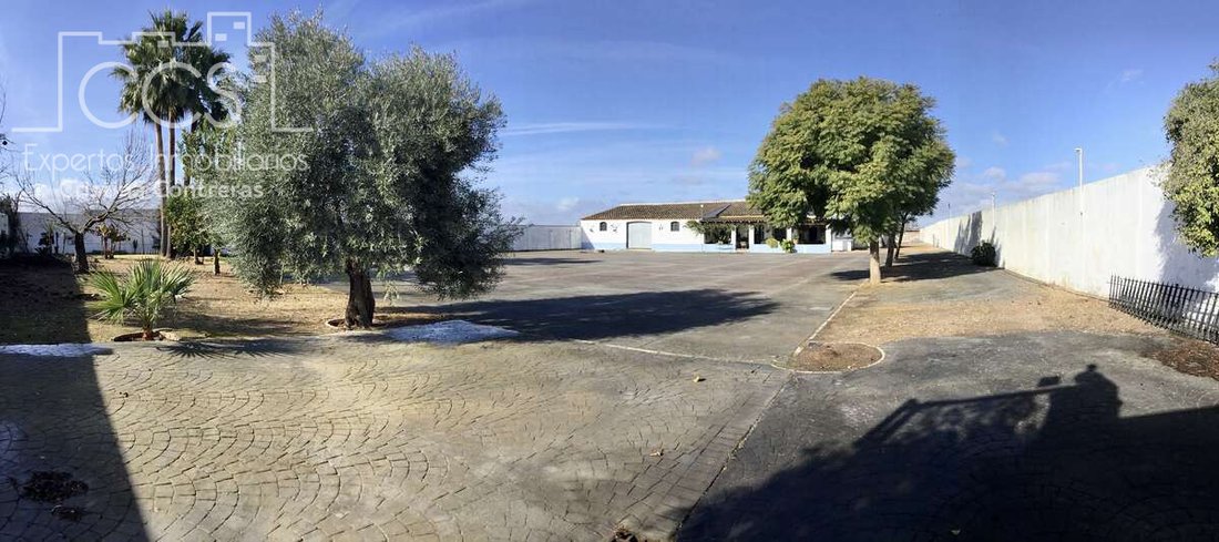 Villa in Almonte, Andalusia, Spain 2 - 15252912