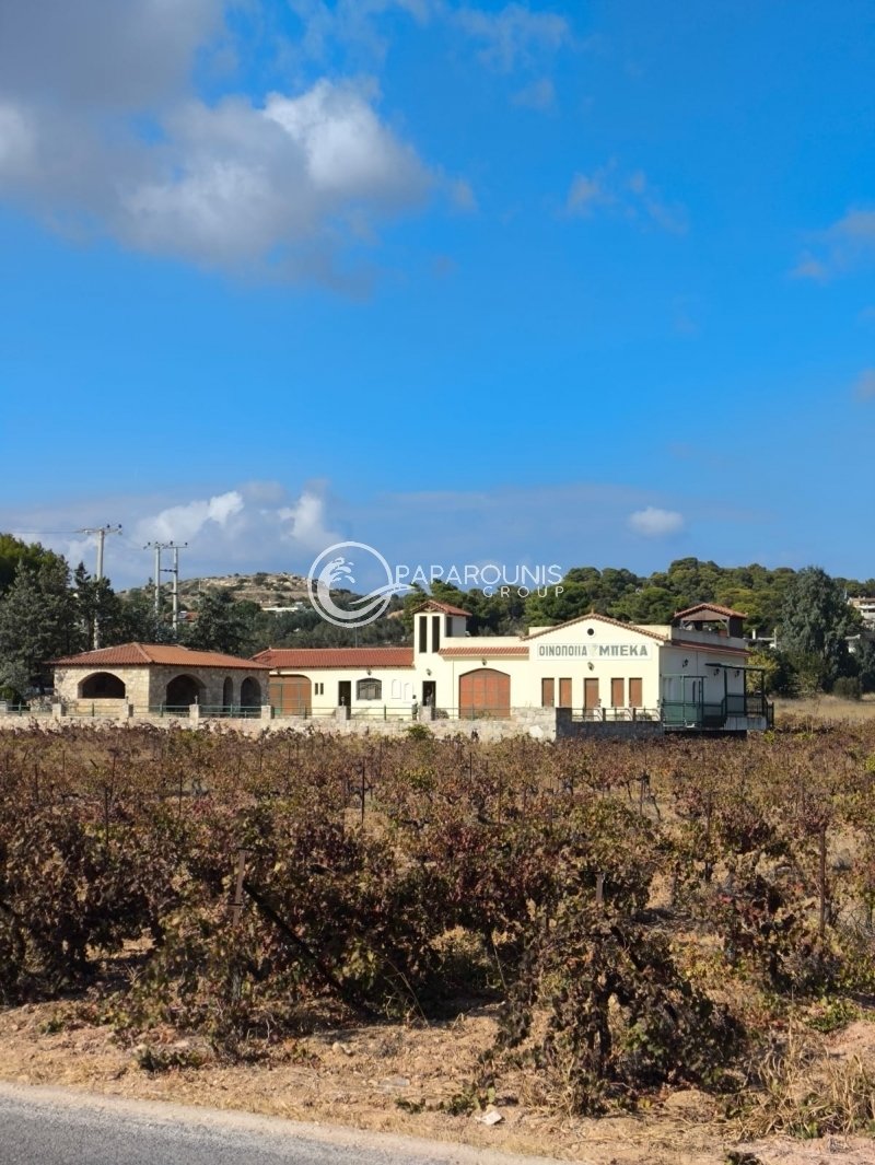 Spata-Loutsa, Attica, Greece 1 - 15250839