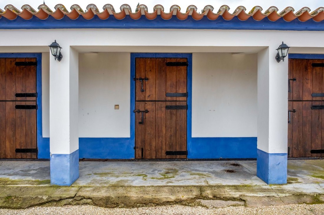 Farm Ranch in Selmes, Beja District, Portugal 4 - 15249853