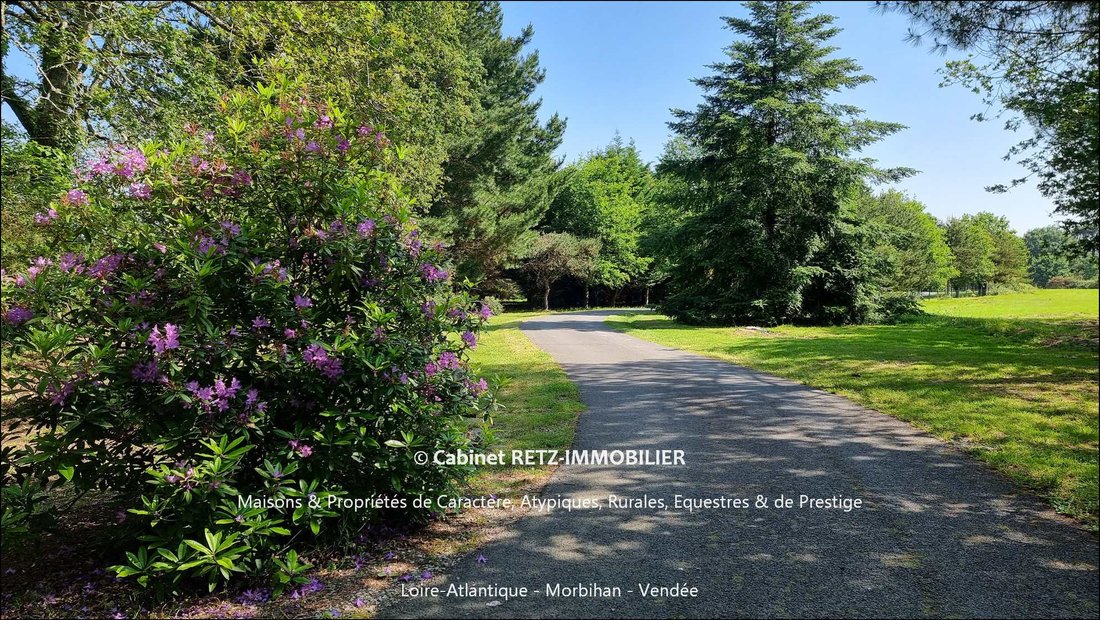 Castle in Baden, Brittany, France 1 - 15258190