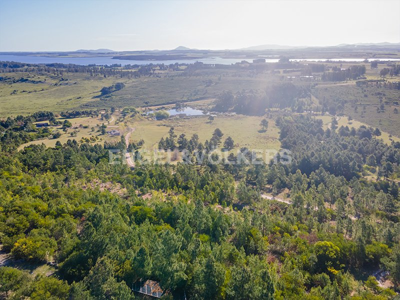Minas, Lavalleja Department, Uruguay 4 - 15258262