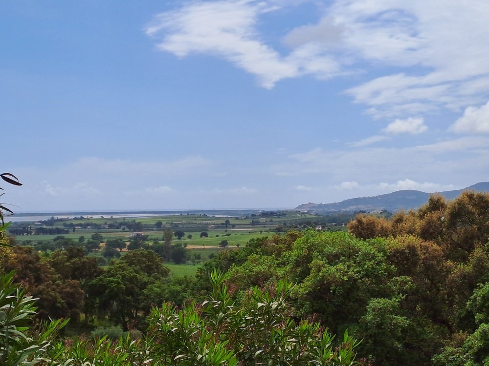 Farm Ranch in Center, Grosseto, Tuscany 5 - 15258713