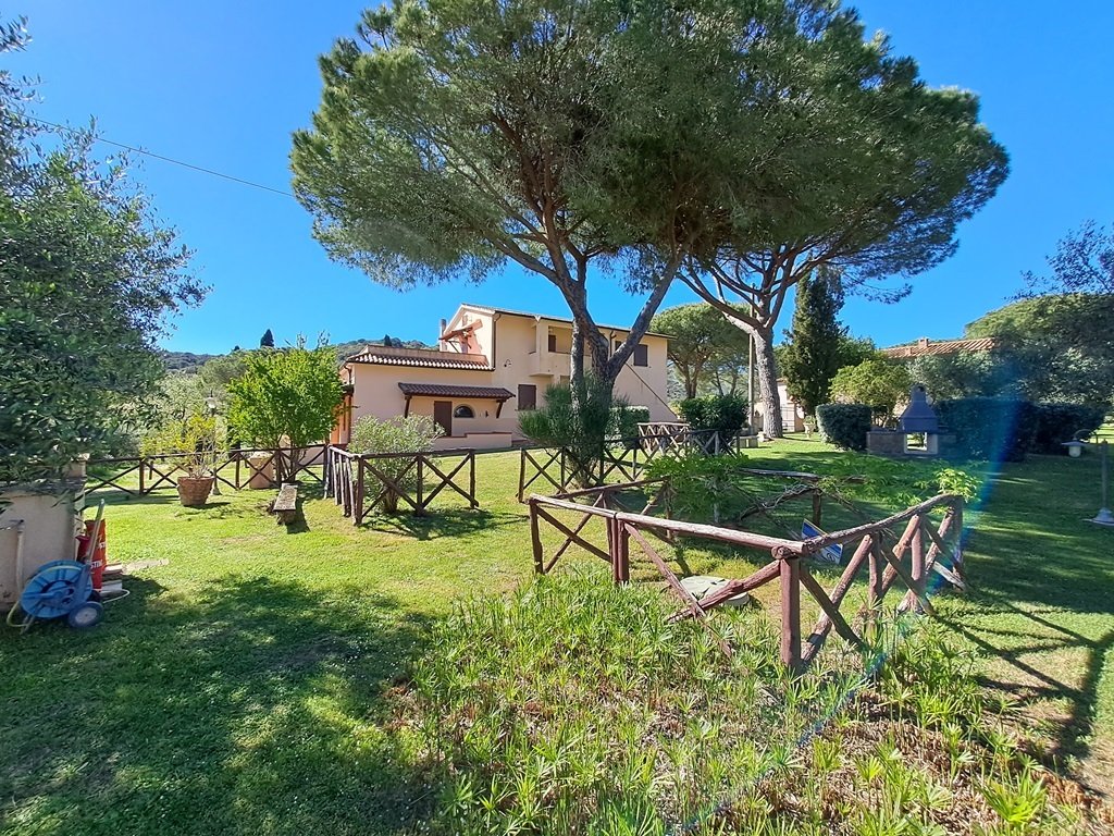 Estate in Center, Grosseto, Tuscany 4 - 15258763