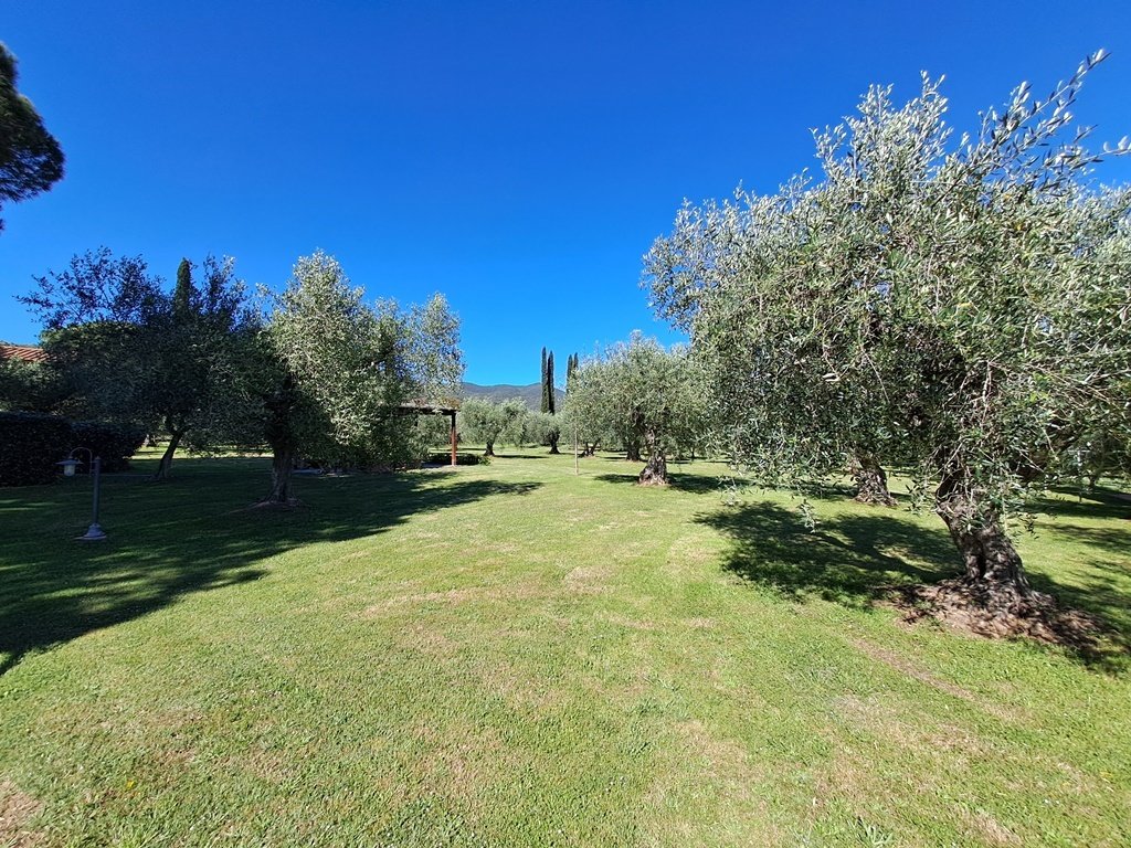 Estate in Center, Grosseto, Tuscany 5 - 15258763