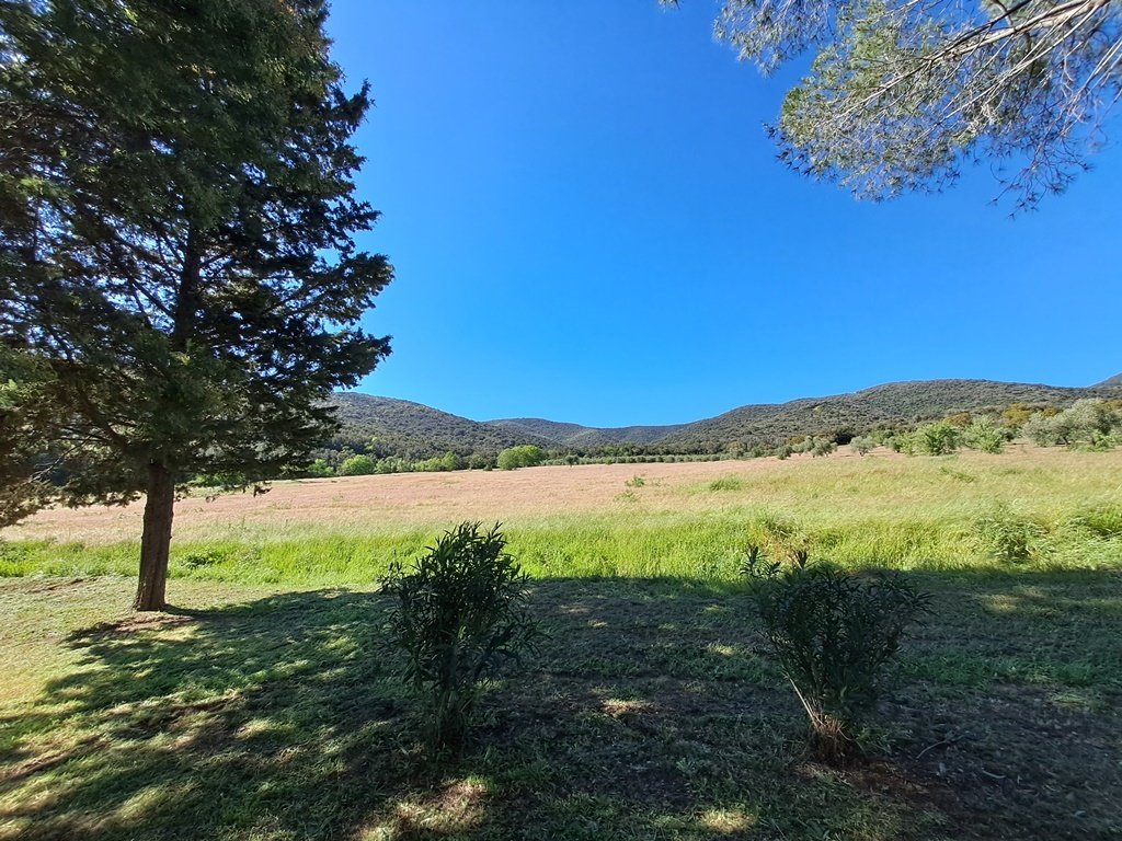 Farm Ranch in Center, Grosseto, Tuscany 5 - 15258786