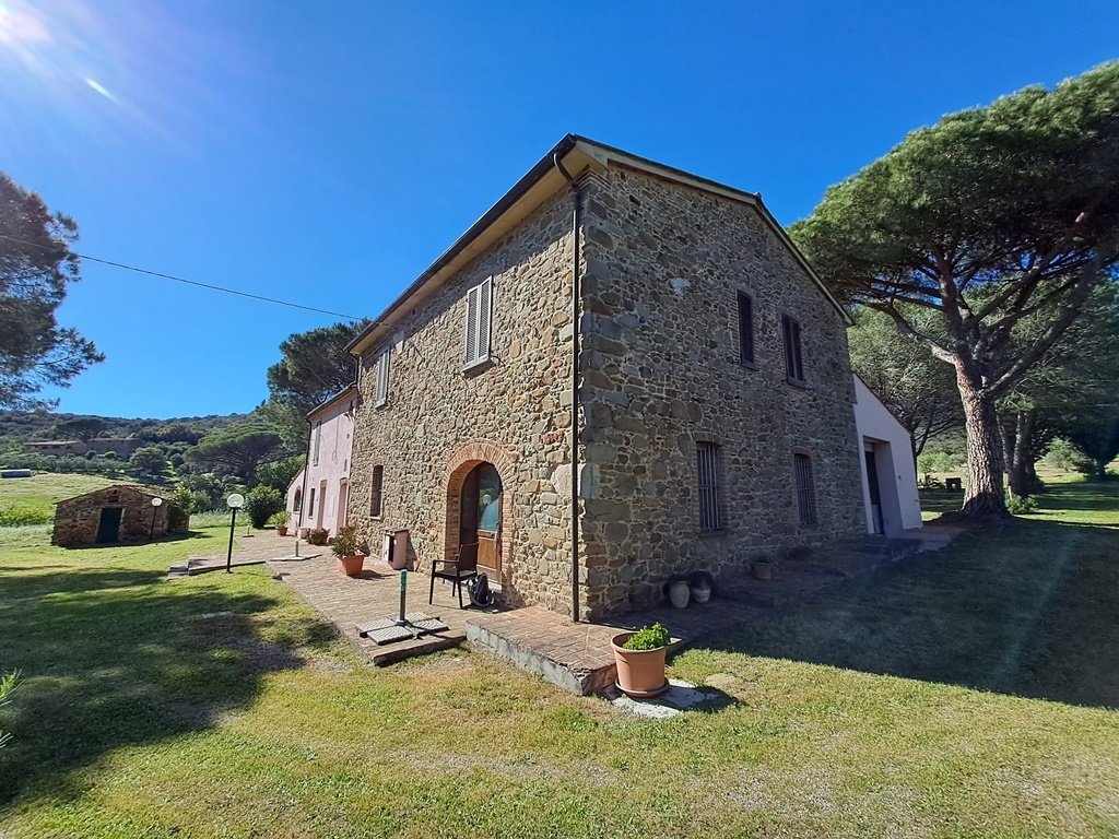 Farm Ranch in Center, Grosseto, Tuscany 4 - 15258786