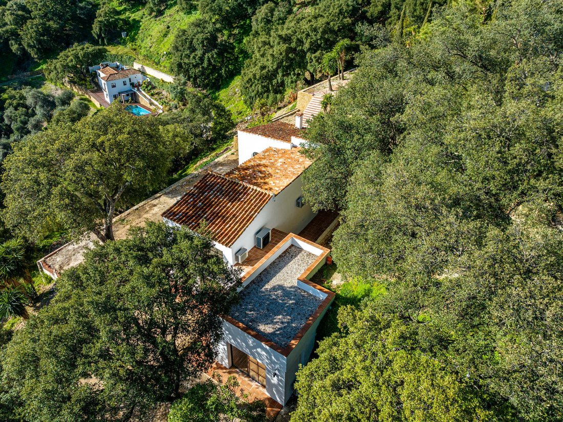 Country House in Casares, Andalusia, Spain 4 - 15006802