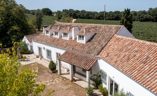 Farm Ranch in Azeitao (Sao Lourenco e Sao Simao), Setubal, Portugal 1