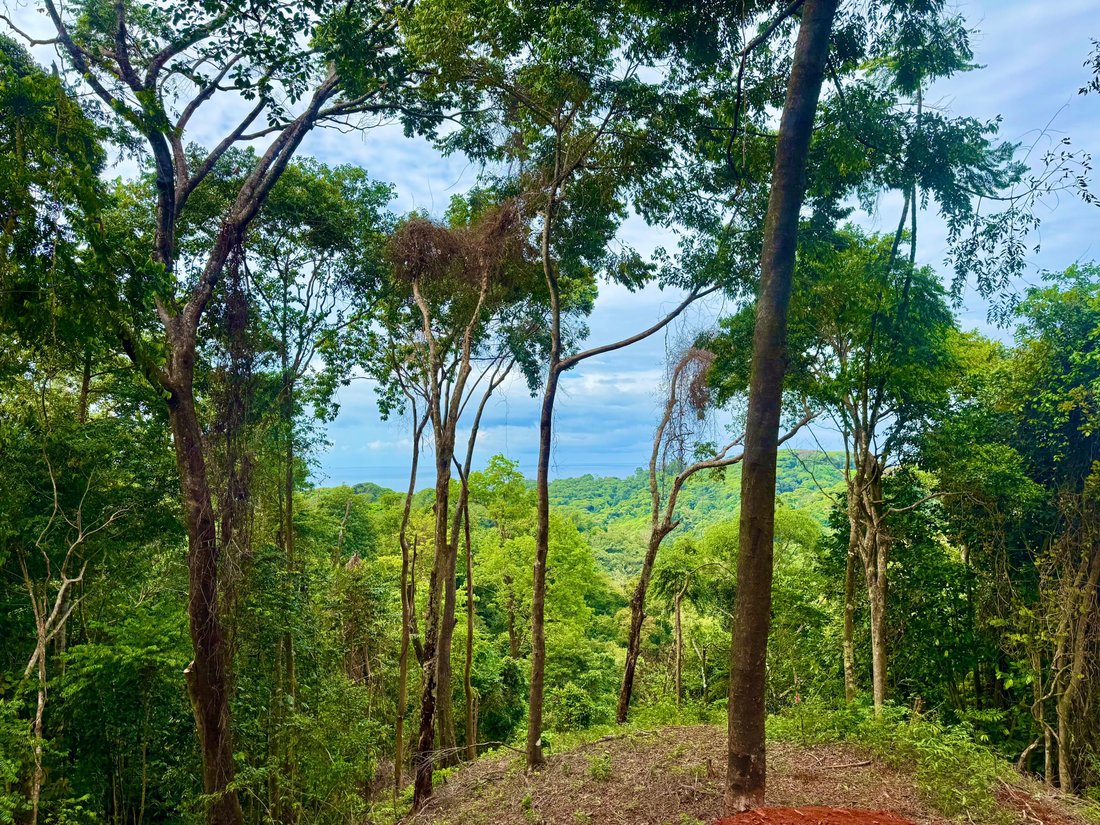 Land in Piñuela, Puntarenas Province, Costa Rica 4 - 15260958