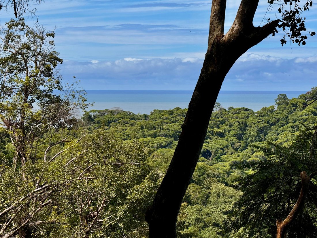 Land in Piñuela, Puntarenas Province, Costa Rica 3 - 15260958